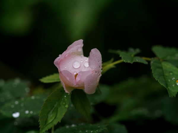 Services de serrurerie à saint-alban-leysse : assistance immédiate 24/7