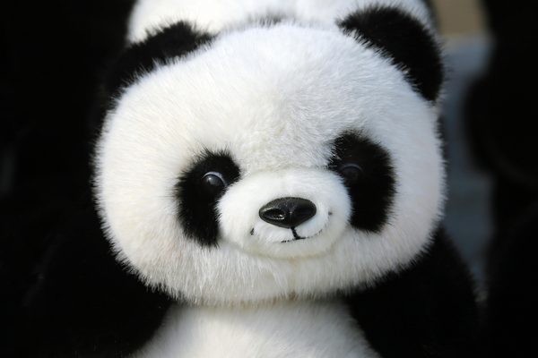 Boutique pour les fans de panda : cadeaux uniques et funs
